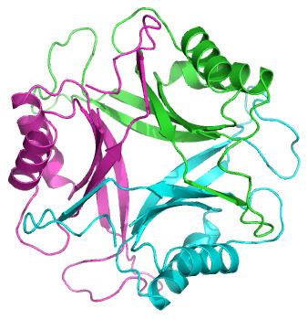 Pii nitrogen regulatory proteins