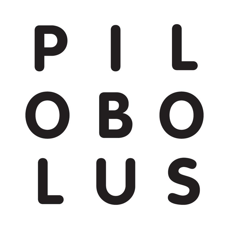 Pilobolus (dance company) httpscooperstownchamberfileswordpresscom201