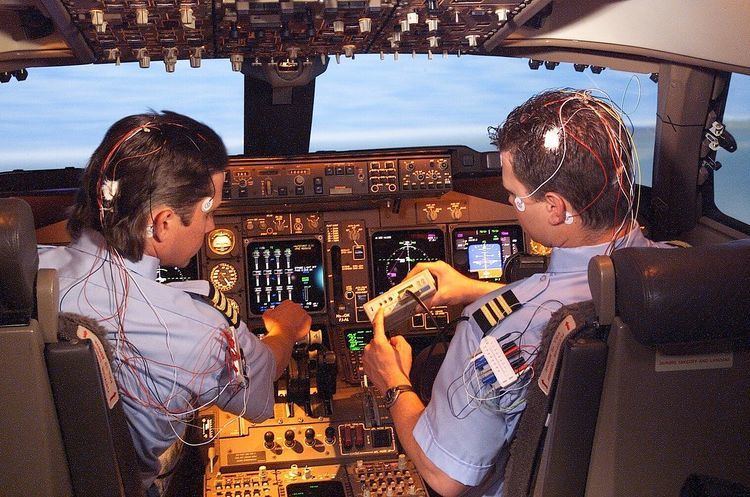 Pilot decision making