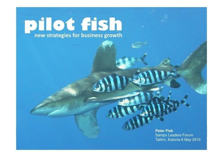Pilot fish Pilot Fish new strategies for business growth