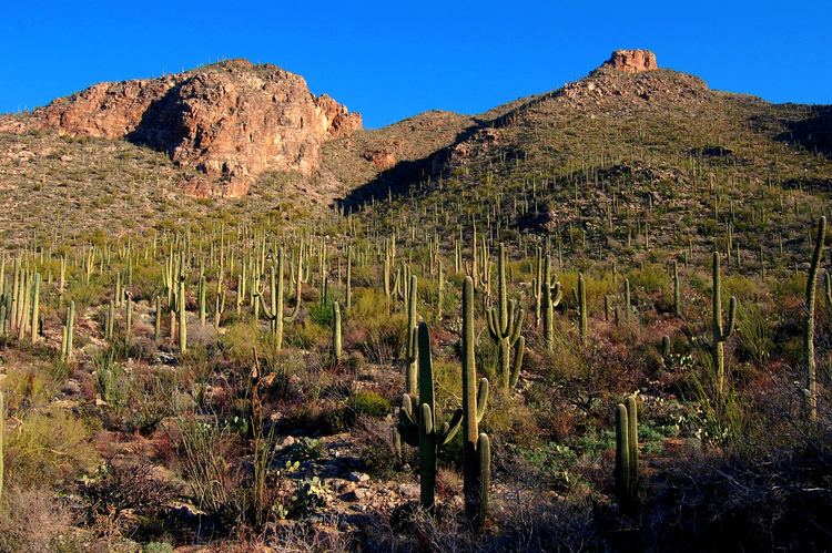 Pima Canyon Pima Canyon Trail Tucson Arizona Best viewed LARGE on B Flickr