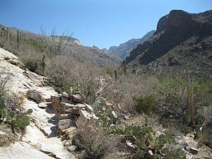 Pima Canyon httpsuploadwikimediaorgwikipediacommonsthu