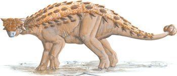 Pinacosaurus Pinacosaurus HowStuffWorks
