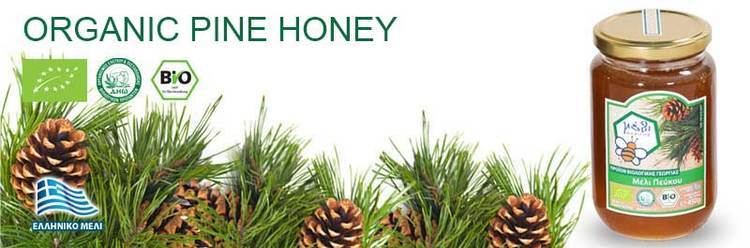 Pine honey Organic Pine Honey quotFASILISquot 450gr from the pine forests in Arcadia