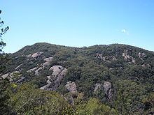 Pine Mountain (Victoria) httpsuploadwikimediaorgwikipediacommonsthu