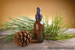 Pine oil Herbal Oil Pine Oil Benefits and Uses