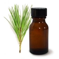 Pine oil Shop Pure amp Natural Pine Oil Online At Our Credible Store