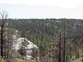 Pine Ridge National Recreation Area httpsuploadwikimediaorgwikipediacommonsthu