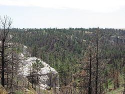 Pine Ridge (region) httpsuploadwikimediaorgwikipediacommonsthu