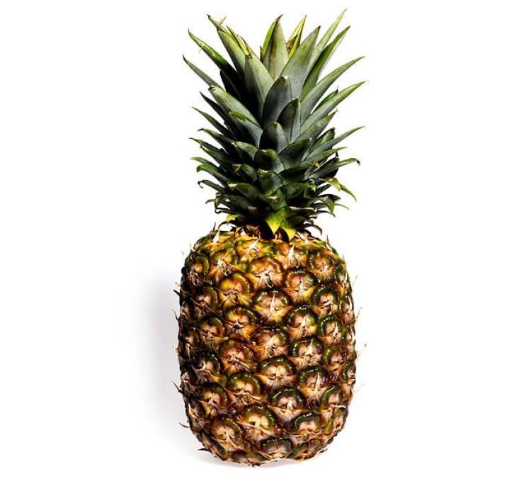 Pineapple Talking pineapple question on state exam stumps everyone NY