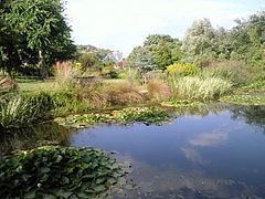 Pines Garden httpsuploadwikimediaorgwikipediacommonsthu