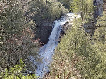 Piney Creek Falls httpsuploadwikimediaorgwikipediacommonsthu