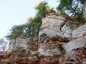 Pinezhsky Nature Reserve httpsuploadwikimediaorgwikipediacommonsthu