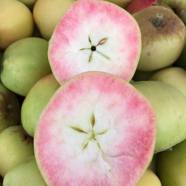 Pink Pearl (apple) Pink Pearl Apples Information Recipes and Facts