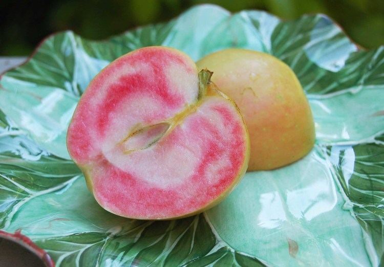 Pink Pearl (apple) Recipe Pink Pearl Apple Carpaccio
