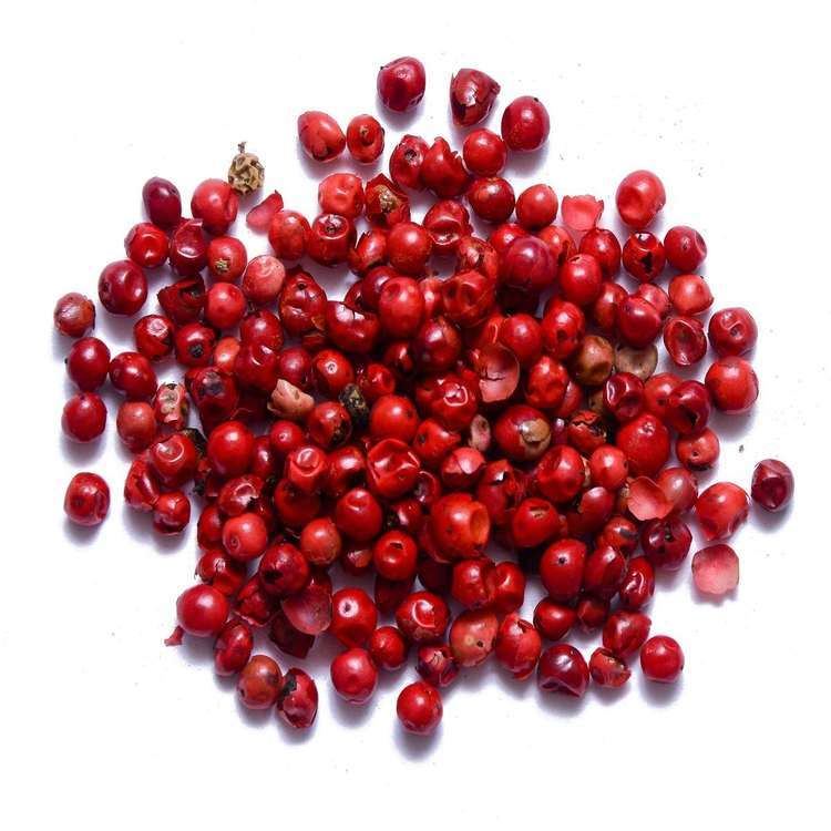 Pink peppercorn httpsstaticthespicehousecomimagesfile1259