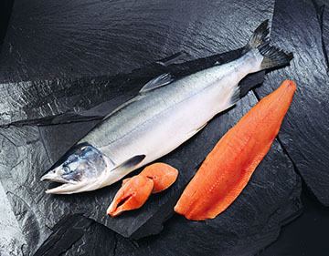 Pink salmon Red Salmon Versus Pink Salmon Versus Tuna Pure Alaska Salmon Company