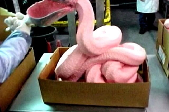 Pink slime Pink Slime Makers Suing ABC News for Defamation