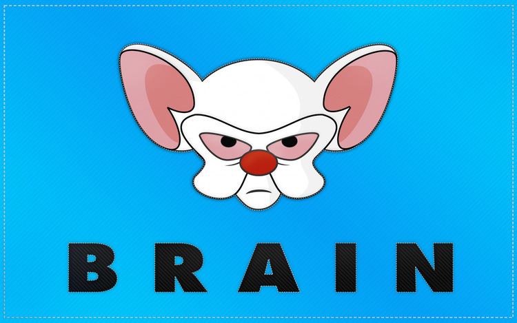 Pinky and the Brain 1000 images about Pinky and the Brain on Pinterest What if