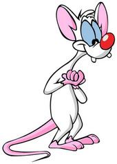 Pinky and the Brain Pinky and the Brain Wikipedia