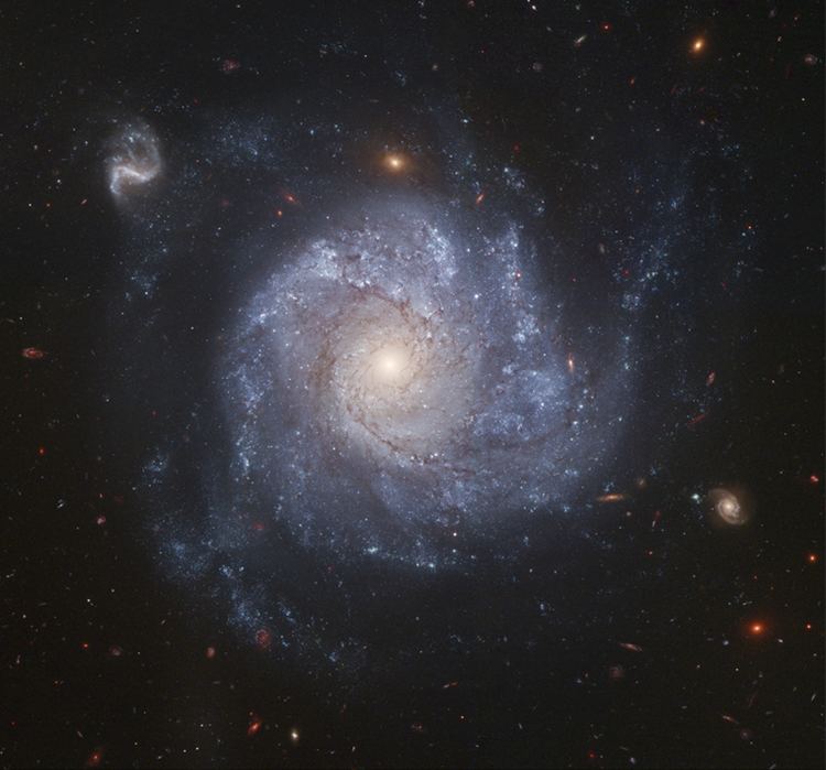 Pinwheel Galaxy Pinwheel Galaxy M101