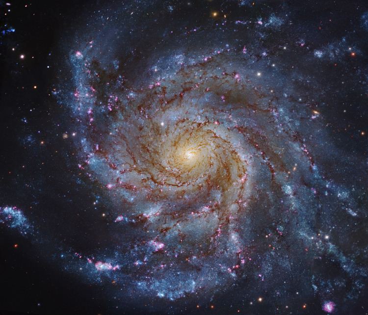Pinwheel Galaxy httpsapodnasagovapodimage1506m101HubbleS