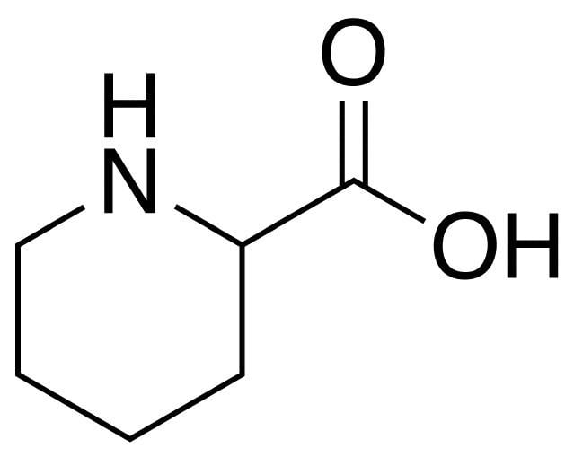 Piperidine Pipecolic acid Wikipedia