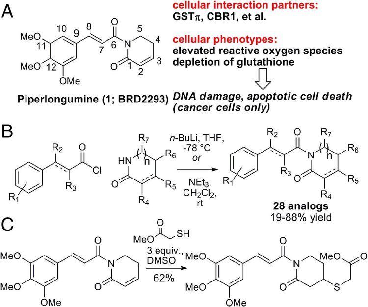Piperlongumine Synthesis cellular evaluation and mechanism of action of