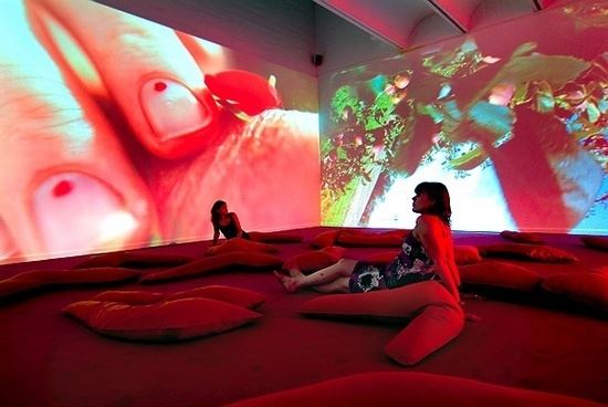 Pipilotti Rist Pipilotti Rist Night and Day