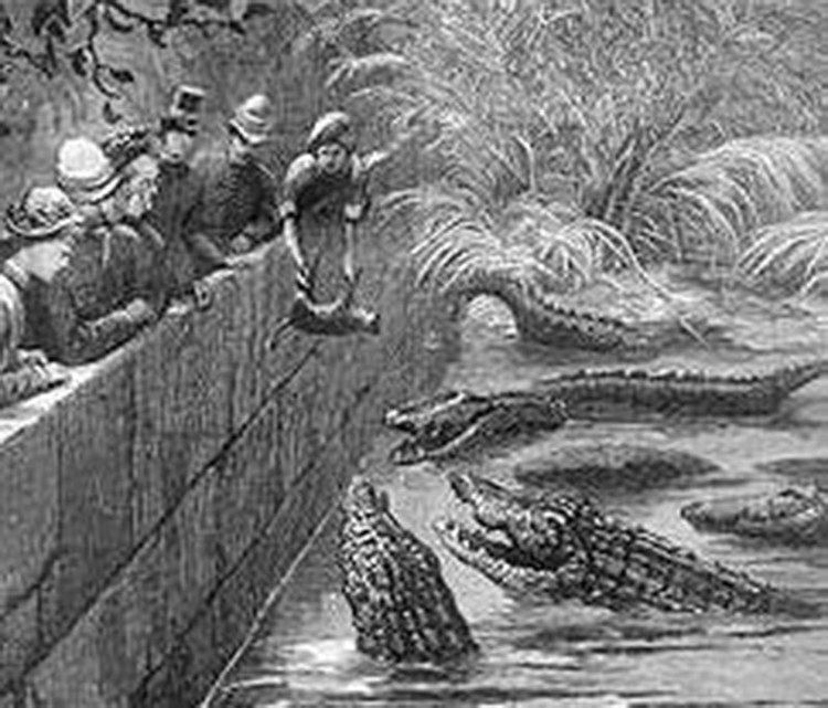 Pir Mangho From legend to science The crocodiles of Manghopir Blogs DAWNCOM