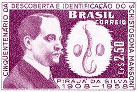 Pirajá da Silva Piraj da Silva Wikipedia