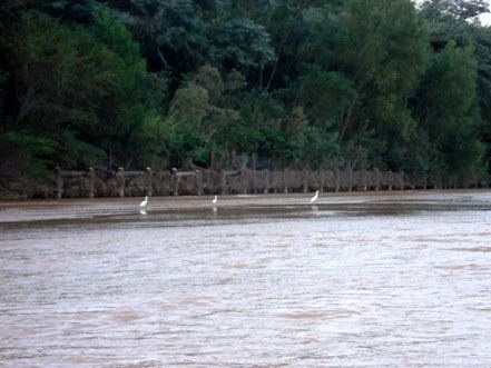 Piray River httpsuploadwikimediaorgwikipediacommons11