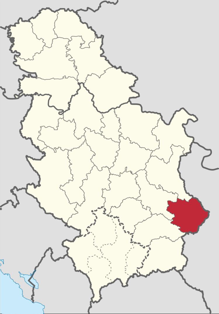 Pirot District