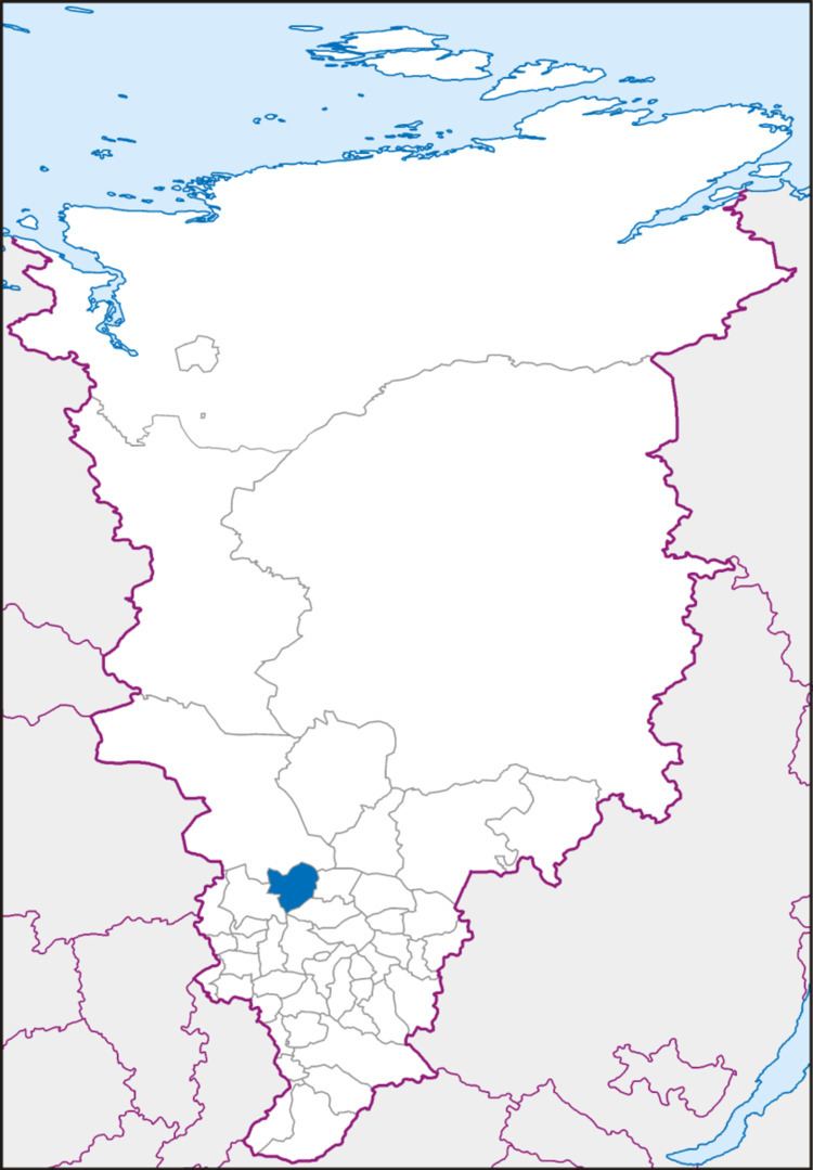 Pirovsky District