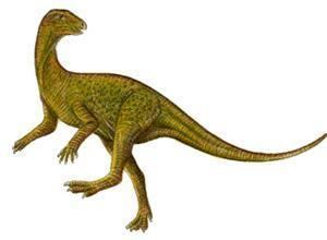 Pisanosaurus Pisanosaurus Dinosaur Facts information about the dinosaur