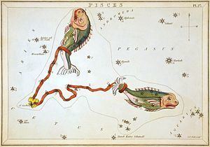 Pisces (constellation) Pisces constellation Wikipedia