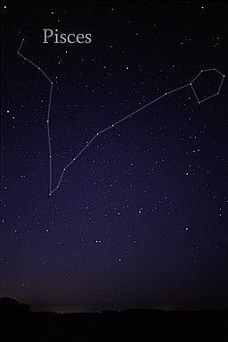 Pisces (constellation) httpsuploadwikimediaorgwikipediacommonsthu