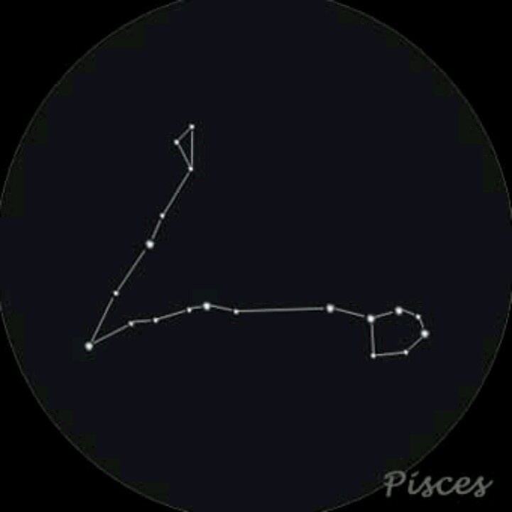 Pisces (constellation) 1000 ideas about Pisces Constellation Tattoo on Pinterest Pisces