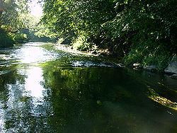 Pissa River httpsuploadwikimediaorgwikipediacommonsthu