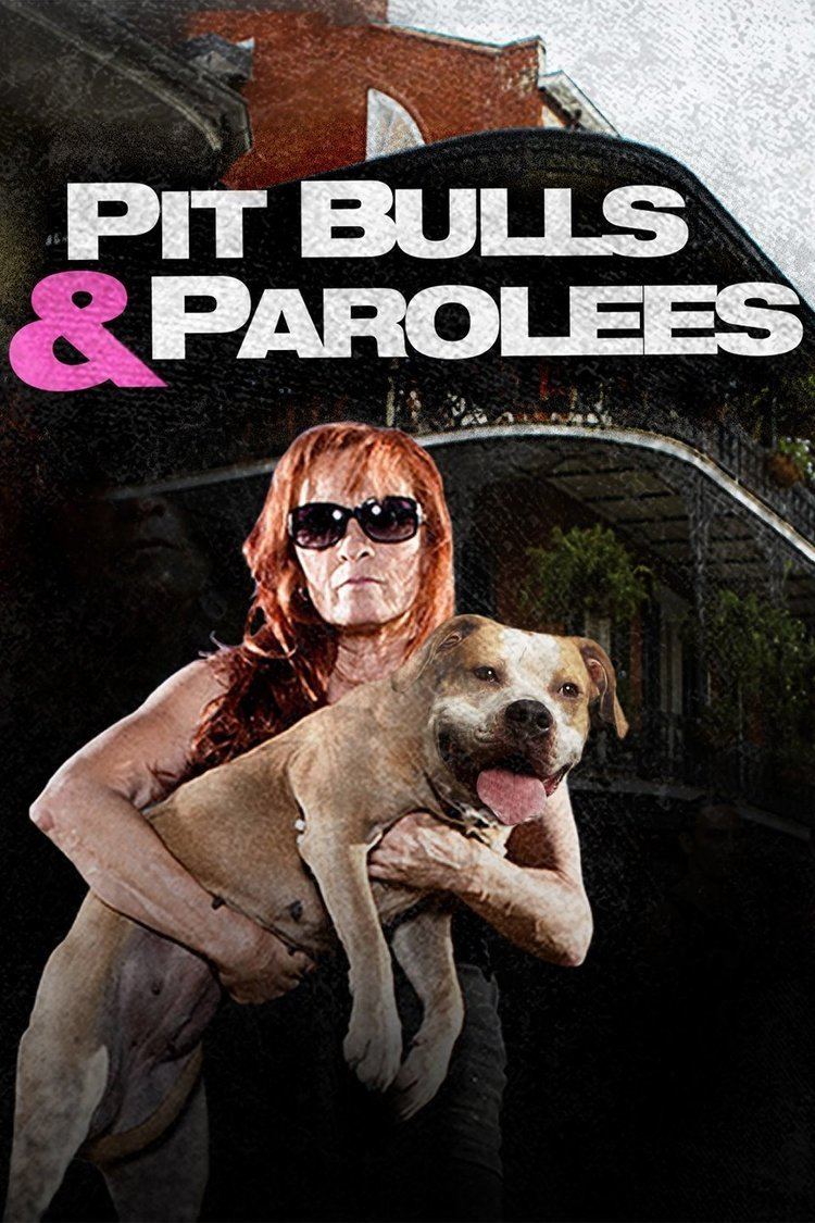 Pit Bulls & Parolees wwwgstaticcomtvthumbtvbanners13354368p13354