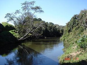 Pitangui River httpsuploadwikimediaorgwikipediacommonsthu