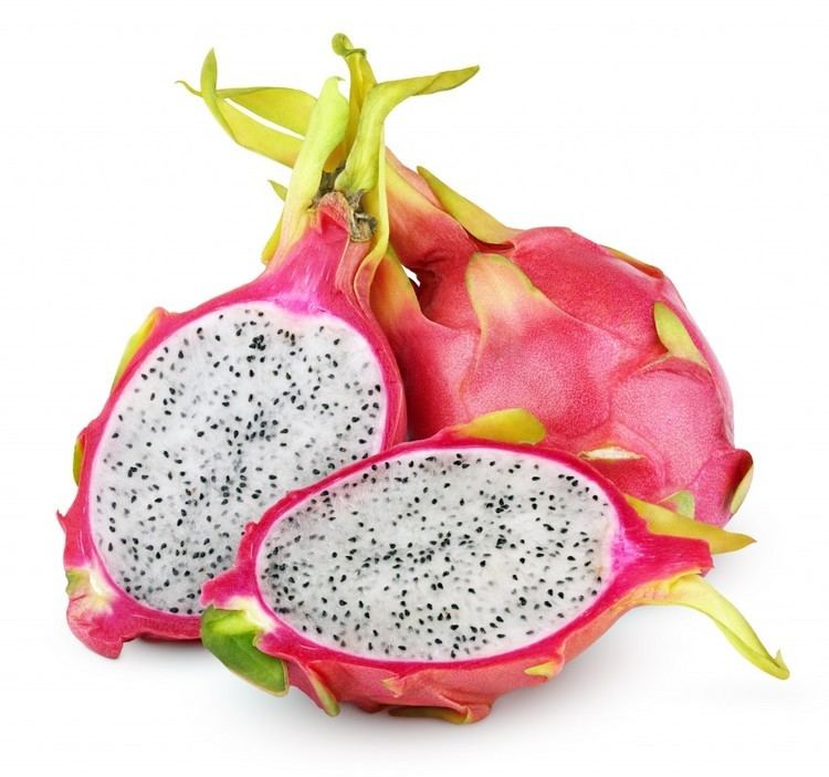 Pitaya Pitaya A Fruit Packed with Nutrient Punch Bowl Of Heaven