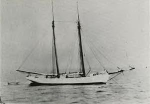 Pitcairn (schooner) httpsuploadwikimediaorgwikipediacommonsthu