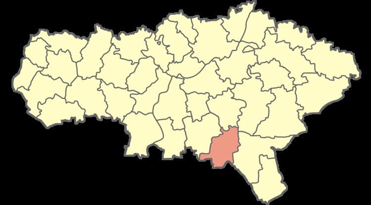 Pitersky District