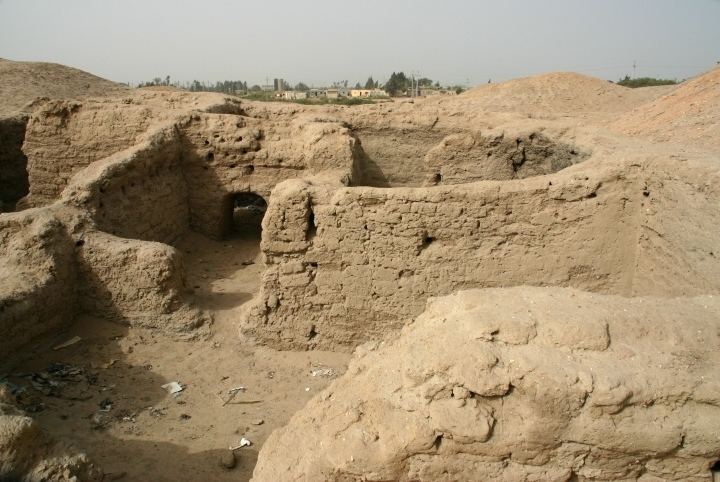 Pithom Lion Tracks Photo QnA The Land of Goshen in Egypt Pithom Avaris
