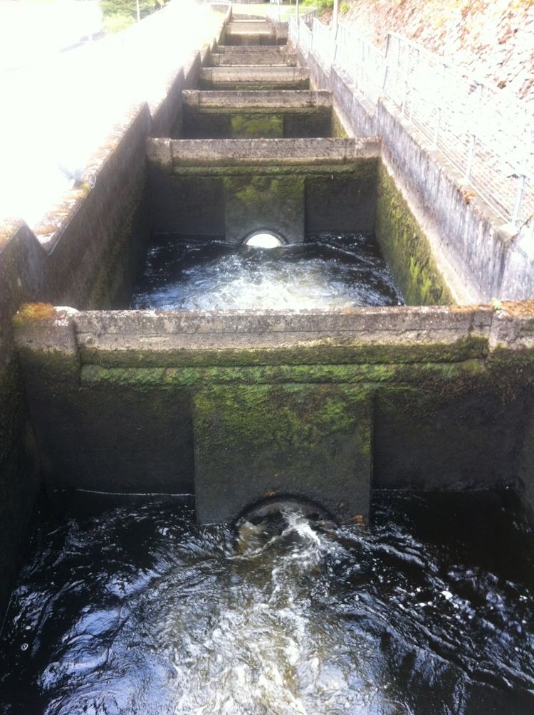 Pitlochry fish ladder Port Na Craig and the Salmon Fish Ladder Pitlochry Pleasure and Payne