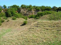 Pittington Hill httpsuploadwikimediaorgwikipediacommonsthu