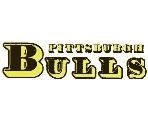 Pittsburgh Bulls httpsuploadwikimediaorgwikipediaen443Pit