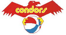 Pittsburgh Condors httpsuploadwikimediaorgwikipediaendd1Pit
