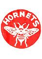 Pittsburgh Hornets httpsuploadwikimediaorgwikipediaenbb6Pit